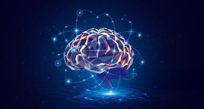 양자는 먼 세계가 아닌 ‘우리 안’의 작동 방식입니다